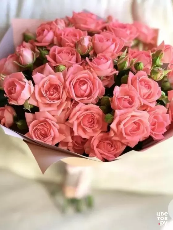 Букет пионовидных кустовых роз сорт "Барбадос" в упаковке