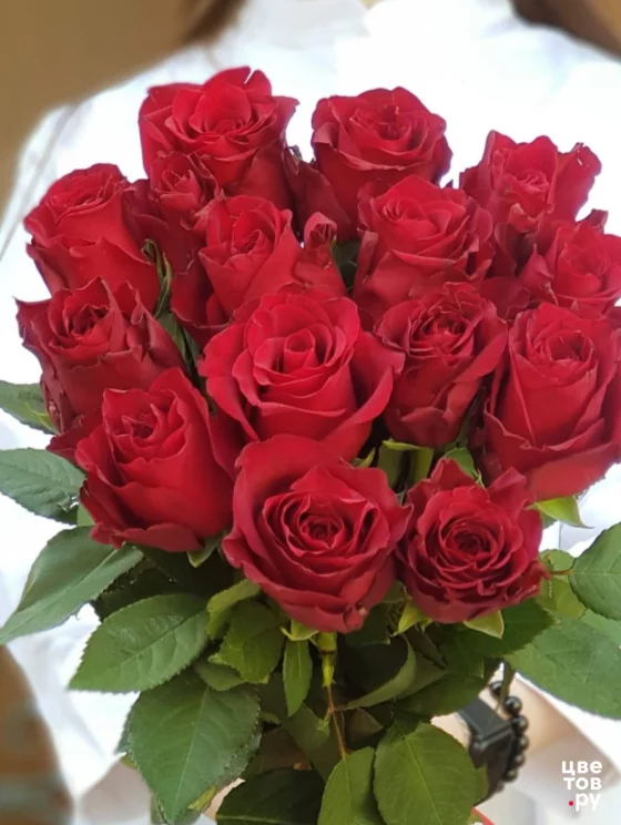 11 красных роз 40 - 50 см.